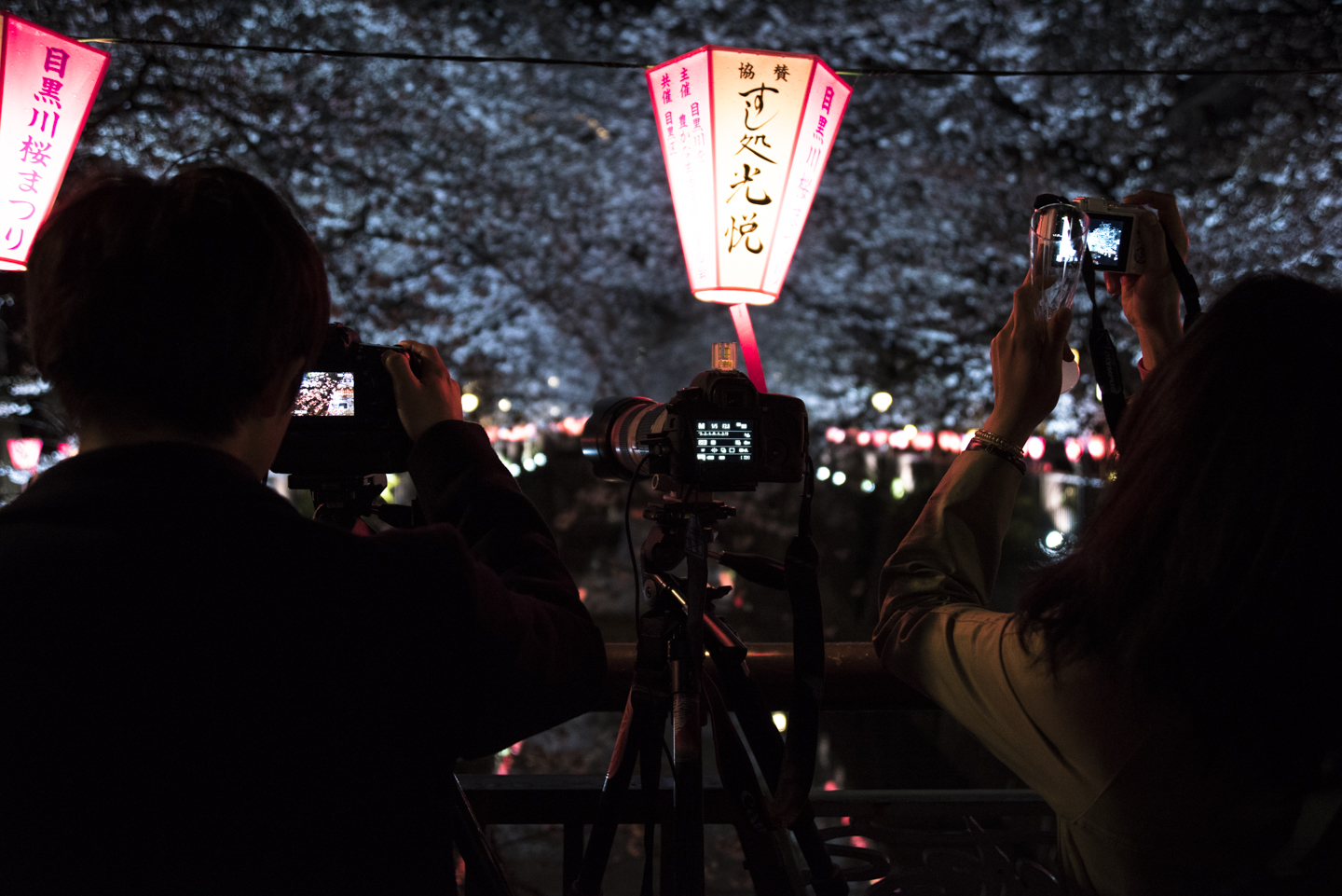 Tokyo Megurogawa